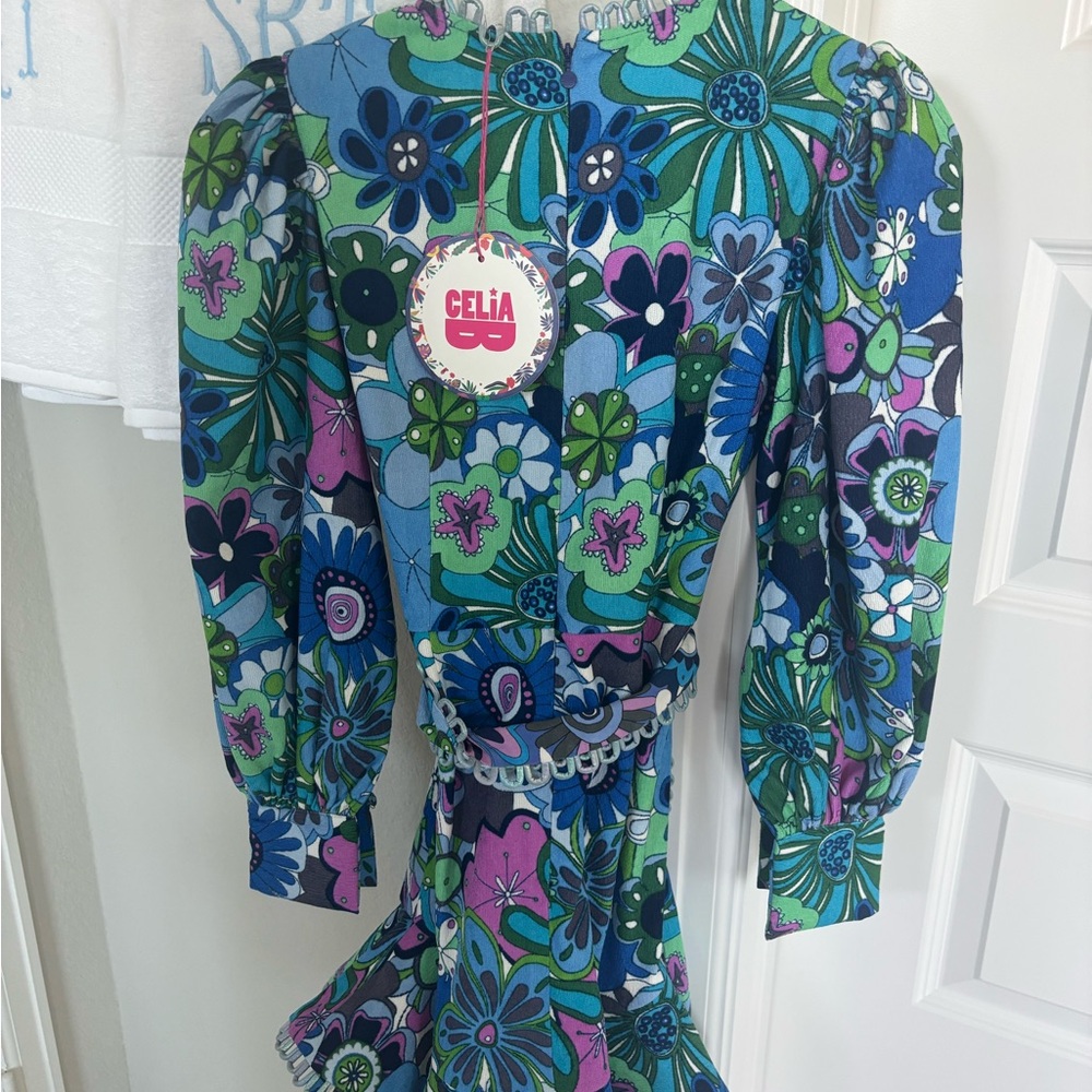 CeliaB Floral Long Sleeve Dress - Blue and Green